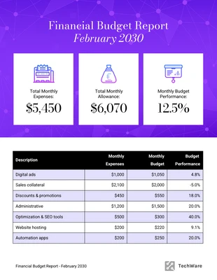 Free  Template: Financial Budget Report Template