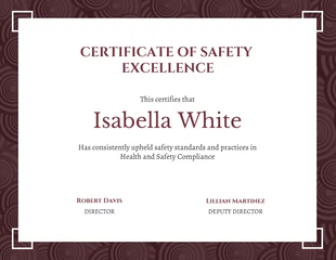 premium  Template: Simple Pattern Certificate of Safety Excellence Template