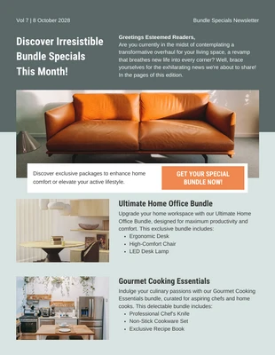 business  Template: Bundle Specials Newsletter Template