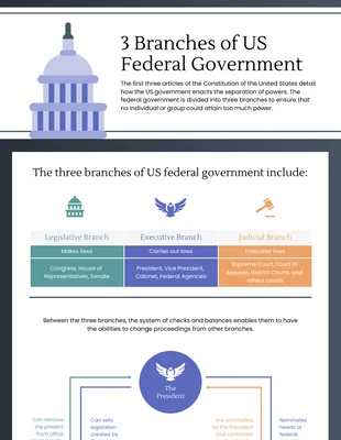 Free  Template: Political Infographic Template