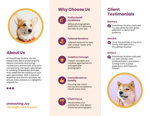 Pet Photography Services Brochure - Page 2