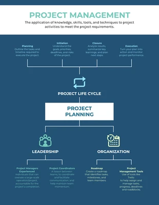 premium  Template: Project Management Mind Map Template