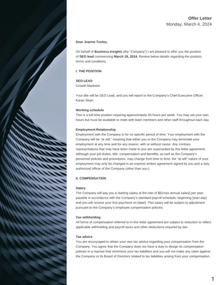 premium  Template: Minimalist Company Job Offer Letter Template