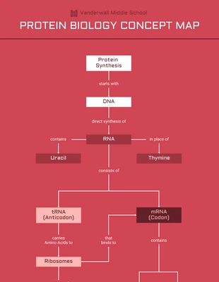 premium  Template: Modern Protein Biology Concept Map