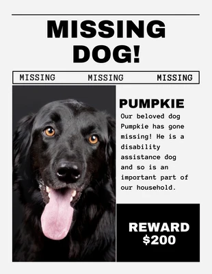 Free  Template: Concrete Missing Dog Flyer Template