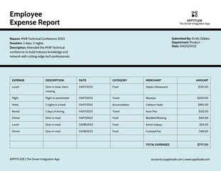 business  Template: Employee Expense Report Template