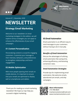 premium  Template: Email Marketing Strategies Newsletter Template