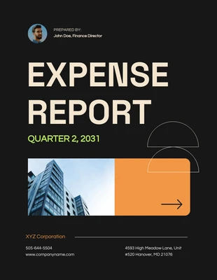 Free  Template: Cream Company Expenses Report Template