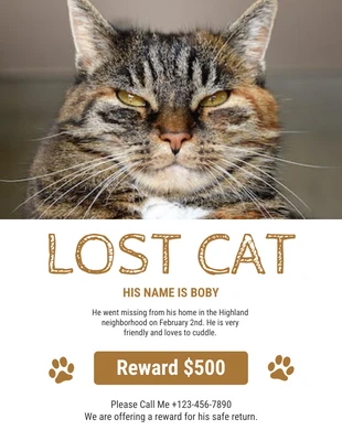 Free  Template: White Lost Cat Flyer Template