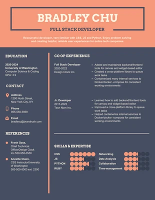 premium  Template: Dark Jr Developer Resume Template