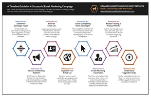 business accessible Template: Marketing Consultant Campaign Timeline Infographic Template