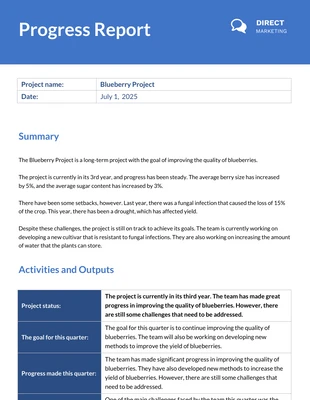 business  Template: Progress Report Template