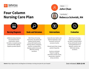 premium  Template: Four Column Nursing Care Plan