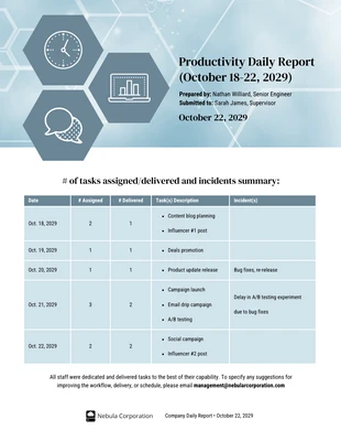 business  Template: Productivity Daily Report Template