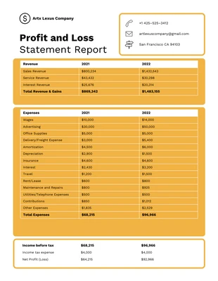 business  Template: Profit And Loss Format Template