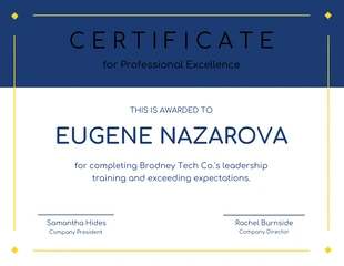 Free  Template: Professional Excellence Certificate of Recognition Template