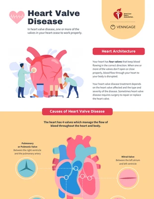 premium  Template: Heart Valve Disease Infographic Template