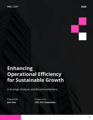 premium  Template: Operational Efficiency Report Template