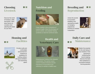 Livestock Farming Guide Brochure - Page 2