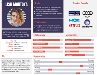 premium  Template: Customer Persona Vlog Creation Report Template