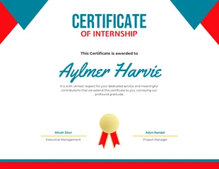 Free  Template: Red Blue internship Certificate format Template