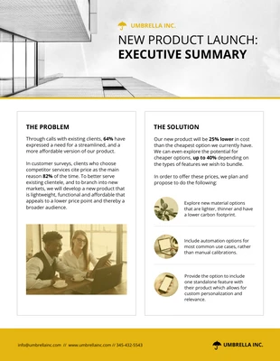 business  Template: Proposal Executive Summary Example Template