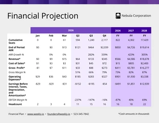 business accessible Template: Financial Projection Table Chart Template