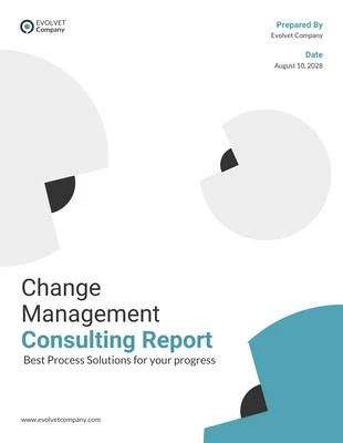 premium  Template: Change Management Consulting Report Template