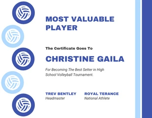 Free  Template: Volleyball Most Valuable Tournament Schedule Template