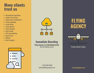 business  Template: Flight Agency Tri Fold Brochure Template