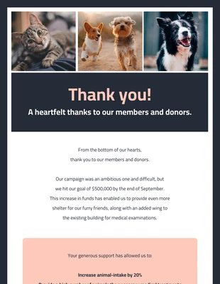 premium accessible Template: Nonprofit Animal Pet Rescue Email Newsletter Template