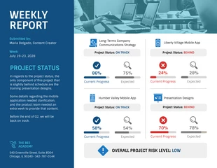 business  Template: Business Project Weekly Status Report Template