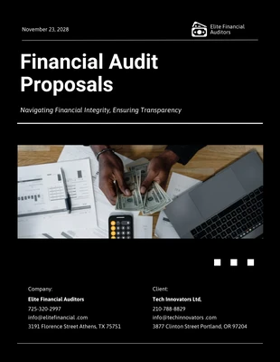 premium  Template: Financial Audit Proposal Template