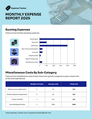 Free  Template: Blizzard Blue Free Expense Report Template