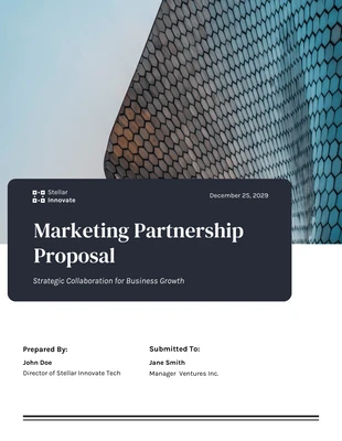 premium  Template: Marketing Partnership Proposal Template