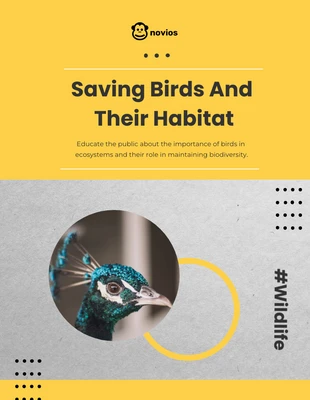 Free  Template: Wildlife Protection Birds Flyer Template