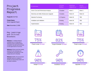 premium  Template: Project Summary Progress Report Template