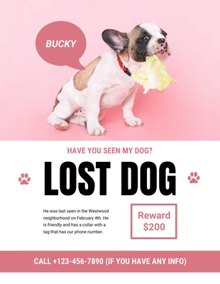 Free  Template: Cherub Lost Dog Flyer Template