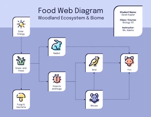 Free  Template: Iconic Forest Biome Food Web Diagram Template