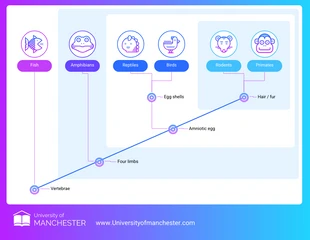 premium  Template: Editable Cladogram Diagram Template