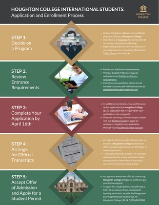 premium  Template: International Students Enrollment Process Infographic Template