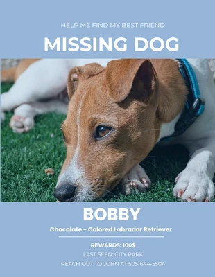 Free  Template: Blue Photo Missing Dog Poster