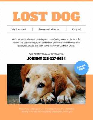 Free  Template: White and Soft Orange Lost Dog Poster