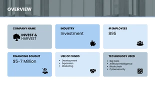 Executive Summary Slide Template - Page 2