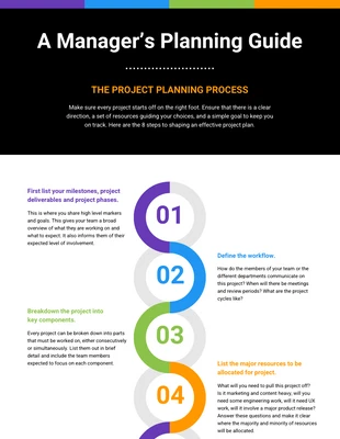 premium  Template: Manager Planning Guide Process Infographic Template