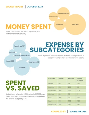 business  Template: Monthly Budget Report Template