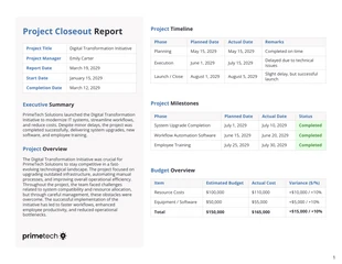 Free  Template: Project Closeout Report Template