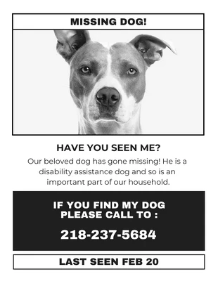 Free  Template: Black Grey Missing Dog Flyer Template