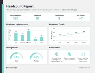 Free  Template: Headcount Report Template