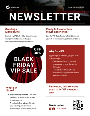 business  Template: VIP Black Friday Sale Newsletter Template